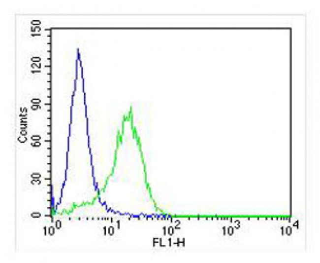 RAB3a Antibody in Flow Cytometry (Flow)