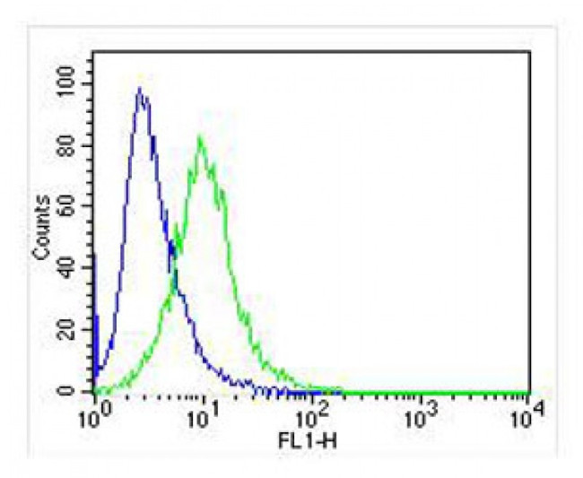 IRF3 Antibody in Flow Cytometry (Flow)