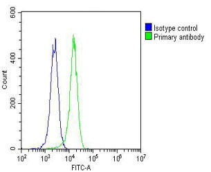 ETS1 Antibody in Flow Cytometry (Flow)