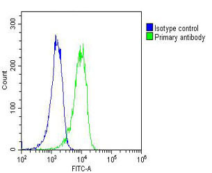 RYK Antibody in Flow Cytometry (Flow)