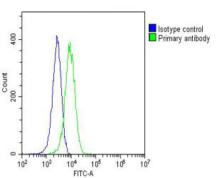 RAP1 Antibody in Flow Cytometry (Flow)