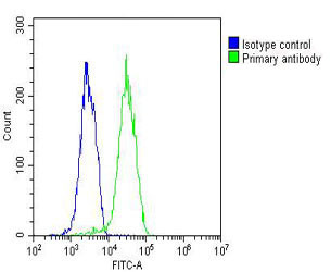 TIP47 Antibody in Flow Cytometry (Flow)