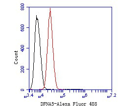 DFNA5 Antibody in Flow Cytometry (Flow)