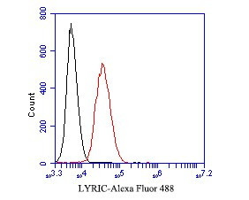 Metadherin Antibody in Flow Cytometry (Flow)