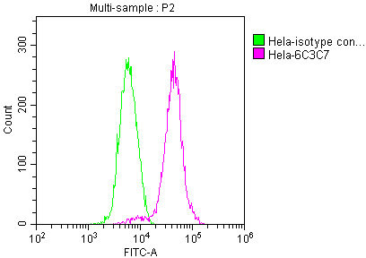 PKM Antibody in Flow Cytometry (Flow)