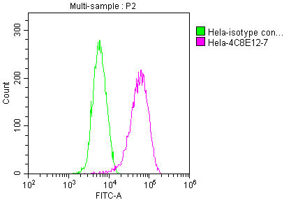 PKM Antibody in Flow Cytometry (Flow)