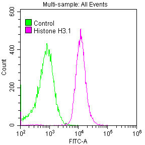 Histone H3 Antibody in Flow Cytometry (Flow)