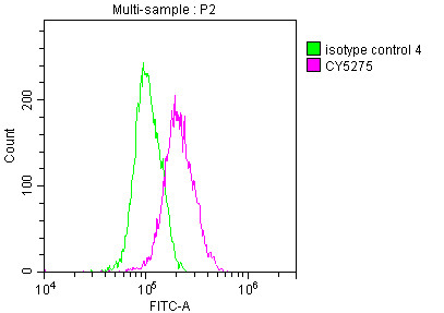 Nkx2.1 Antibody in Flow Cytometry (Flow)