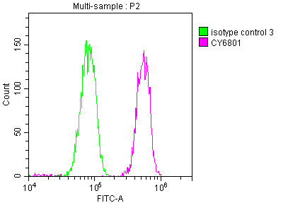 PABPN1 Antibody in Flow Cytometry (Flow)