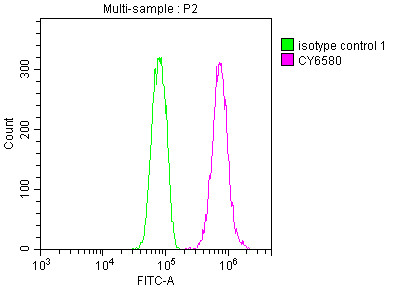 E2F1 Antibody in Flow Cytometry (Flow)