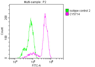 COX1 Antibody in Flow Cytometry (Flow)