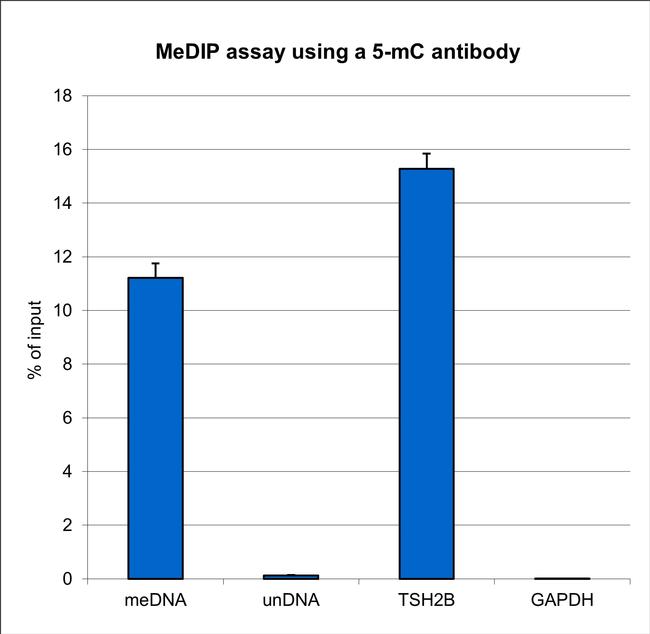 5-Methylcytosine Antibody in Methylated DNA Immunoprecipitation (MeDIP)