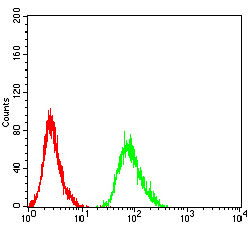 beta-2 Adrenergic Receptor Antibody in Flow Cytometry (Flow)