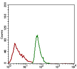 CD166 Antibody in Flow Cytometry (Flow)