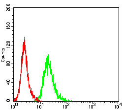 AMBRA1 Antibody in Flow Cytometry (Flow)