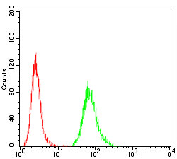 ATG5 Antibody in Flow Cytometry (Flow)