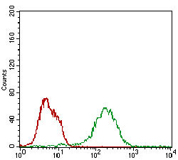 BAD Antibody in Flow Cytometry (Flow)