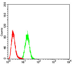 Calretinin Antibody in Flow Cytometry (Flow)