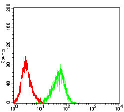 APRIL Antibody in Flow Cytometry (Flow)