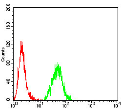 Calponin 3 Antibody in Flow Cytometry (Flow)