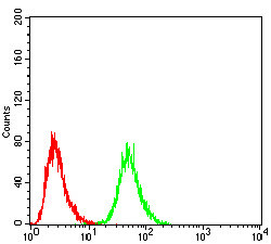 DDX3 Antibody in Flow Cytometry (Flow)