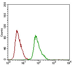 DNM1L Antibody in Flow Cytometry (Flow)