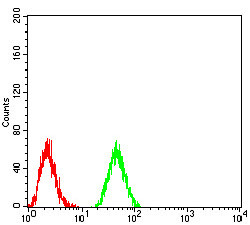 DNMT3B Antibody in Flow Cytometry (Flow)