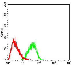 EHMT2 Antibody in Flow Cytometry (Flow)