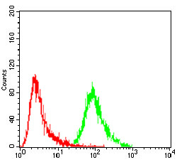 ERCC1 Antibody in Flow Cytometry (Flow)