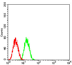 GLI1 Antibody in Flow Cytometry (Flow)