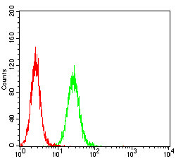 Glutamine Synthetase Antibody in Flow Cytometry (Flow)