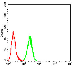 HDAC4 Antibody in Flow Cytometry (Flow)