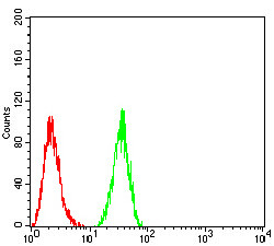 HDAC4 Antibody in Flow Cytometry (Flow)