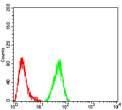 IDH2 Antibody in Flow Cytometry (Flow)