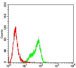 MYLK Antibody in Flow Cytometry (Flow)