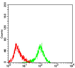 MYLK Antibody in Flow Cytometry (Flow)