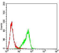 PAX2 Antibody in Flow Cytometry (Flow)