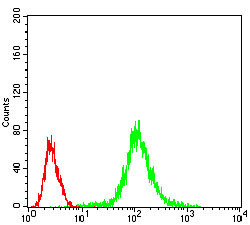 PP1 beta Antibody in Flow Cytometry (Flow)