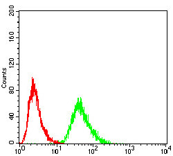 eRF1 Antibody in Flow Cytometry (Flow)