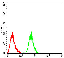 eRF1 Antibody in Flow Cytometry (Flow)