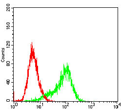 RSK3 Antibody in Flow Cytometry (Flow)