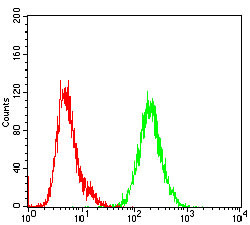 SHC Antibody in Flow Cytometry (Flow)