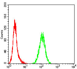 TOP2A Antibody in Flow Cytometry (Flow)