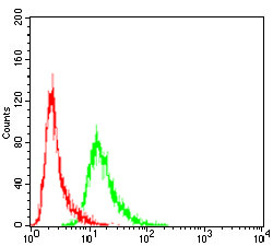 VAV2 Antibody in Flow Cytometry (Flow)