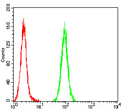 WT1 Antibody in Flow Cytometry (Flow)