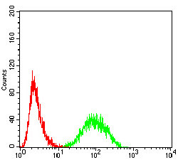 14-3-3 beta Antibody in Flow Cytometry (Flow)