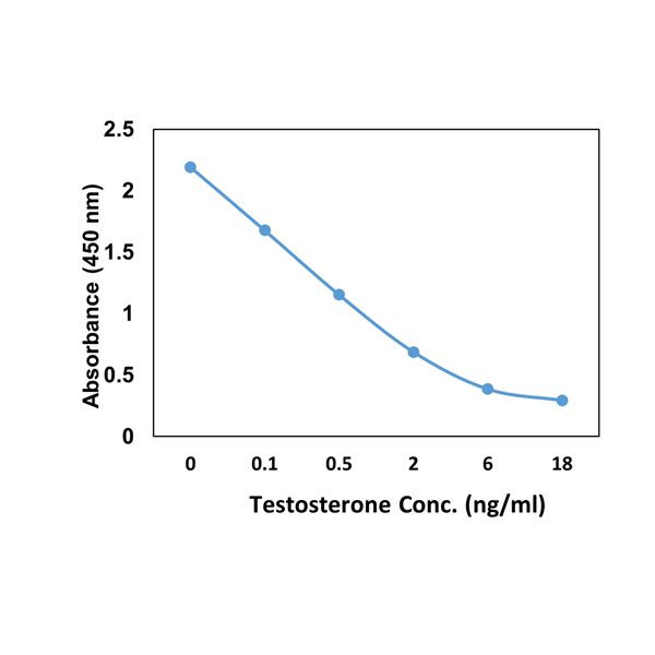 Testosterone Antibody in ELISA (ELISA)