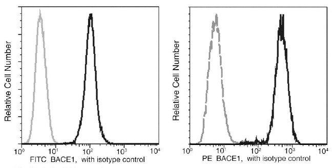 BACE1 Antibody in Flow Cytometry (Flow)