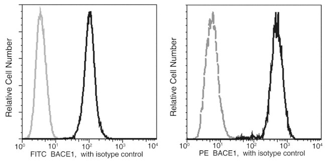 BACE1 Antibody in Flow Cytometry (Flow)