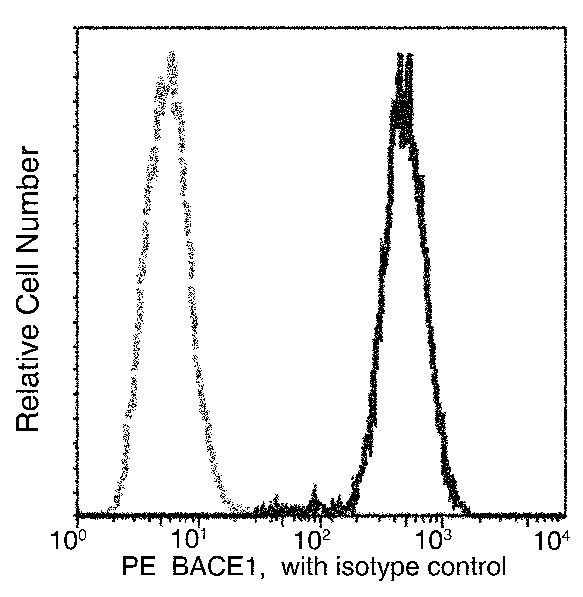 BACE1 Antibody in Flow Cytometry (Flow)